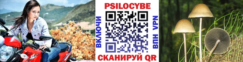 где купить наркотик Старый Крым Псилоцибиновые грибы мухоморы
